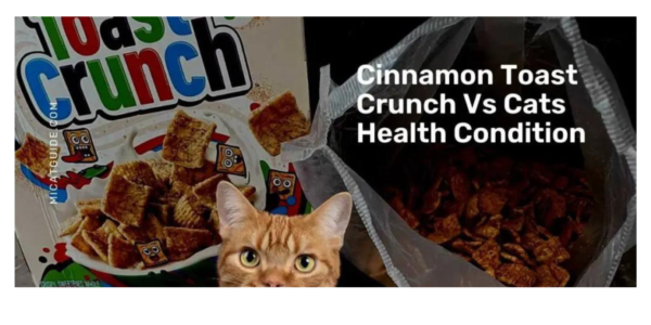 Cats Eat Cinnamon Toast Crunch