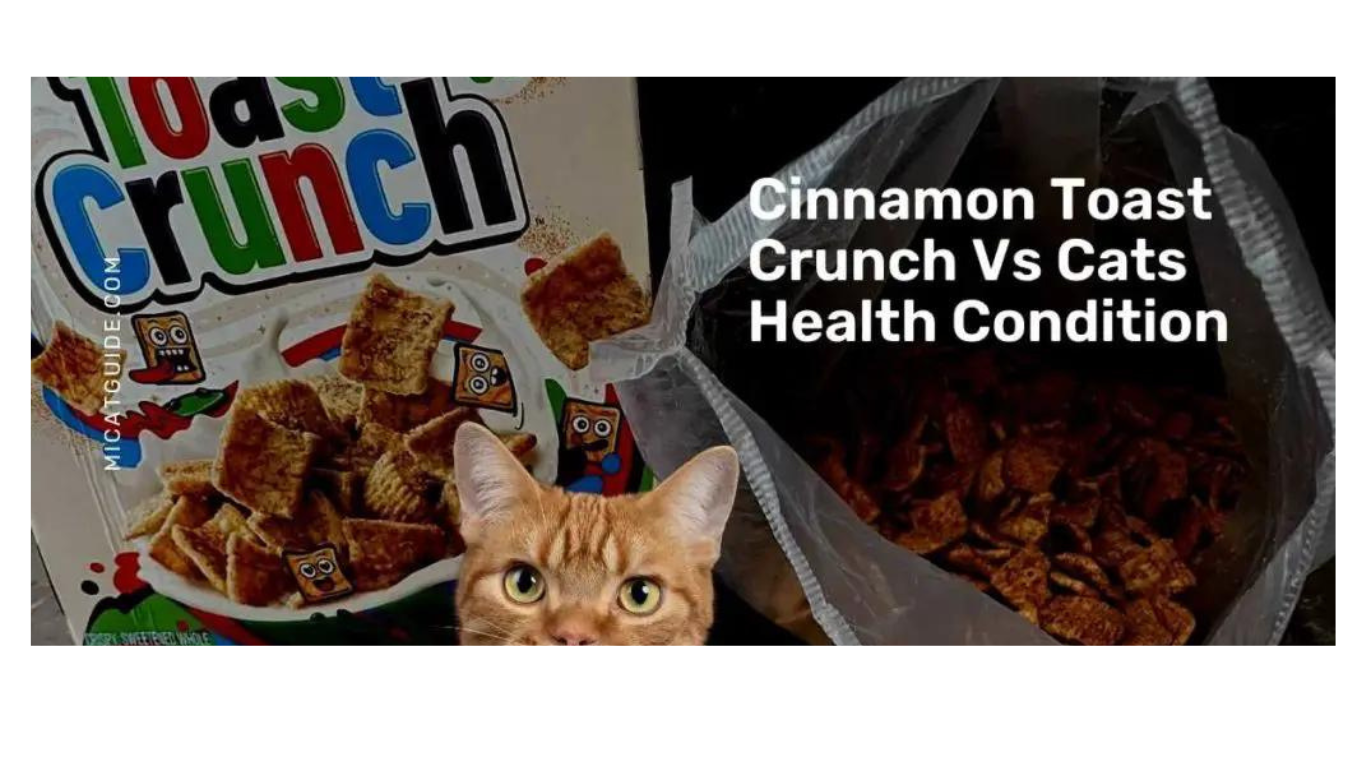 Cats Eat Cinnamon Toast Crunch
